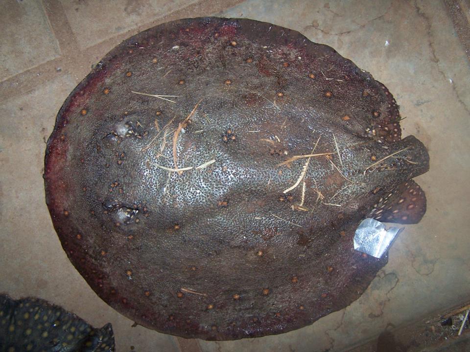 FIGURE 3 FIGURE 3